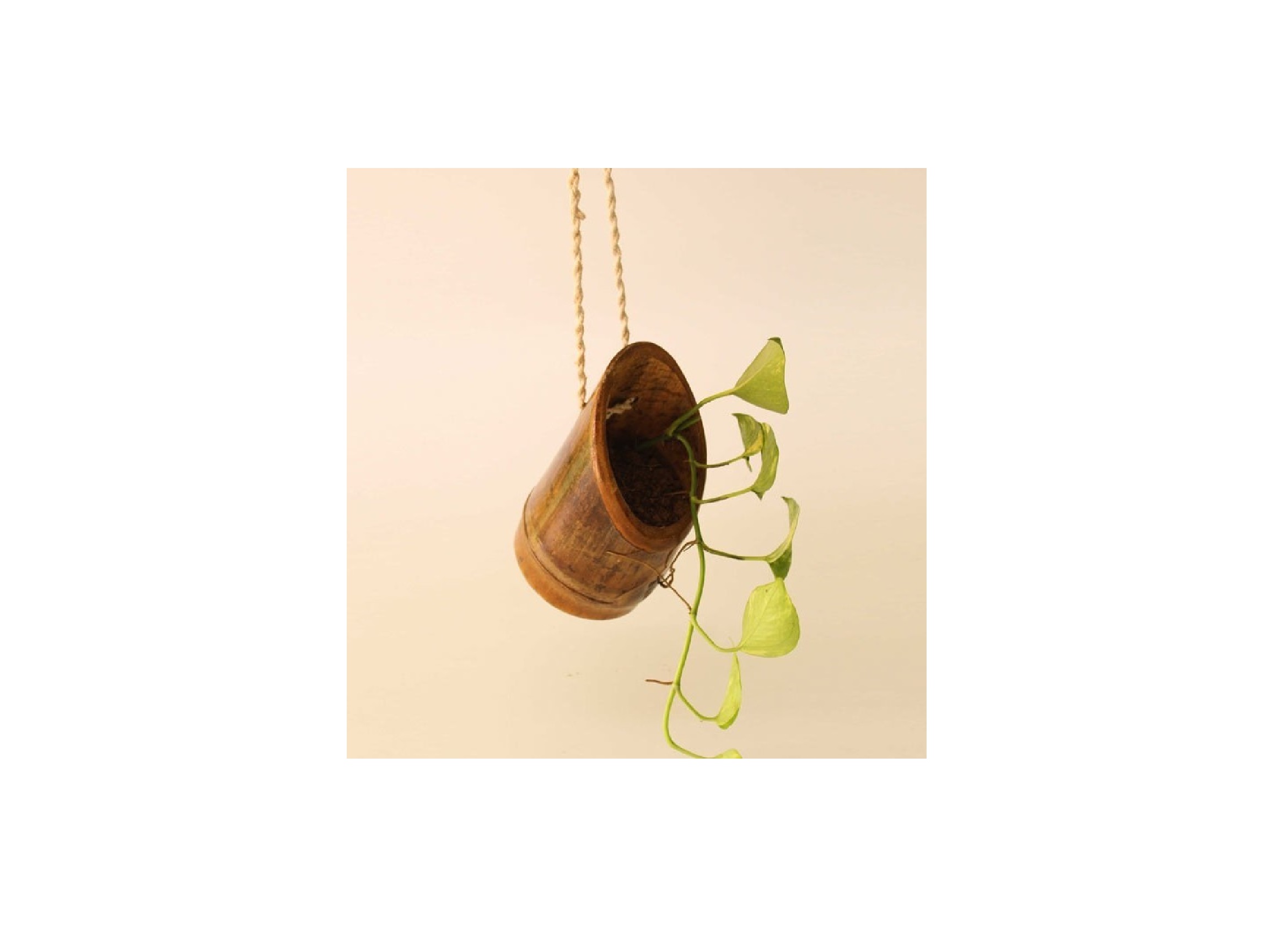  Bamboo, Tapered Hanging Planter